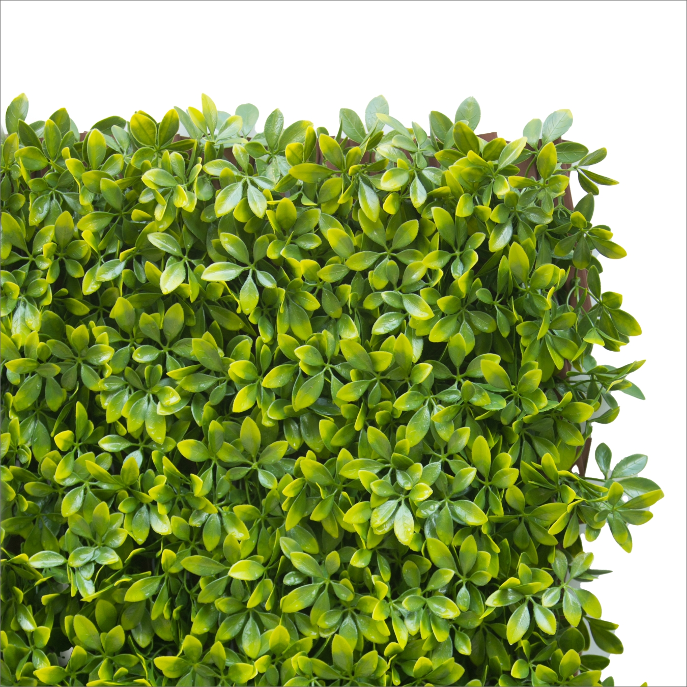 An image of EverTrellis by AriaLiving (Traditional Green Leaves)
