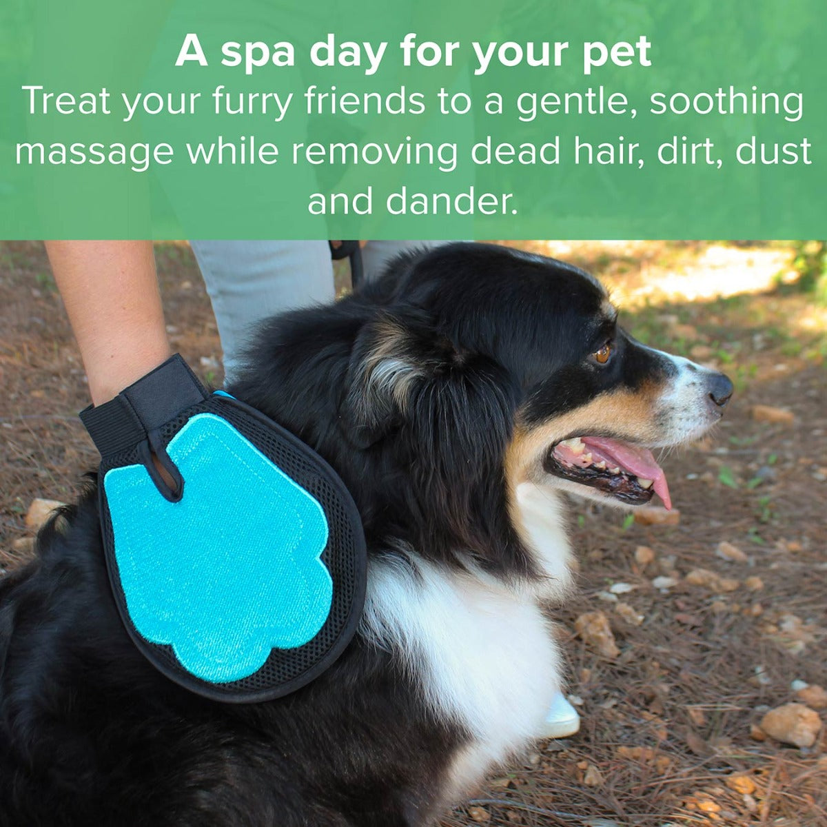 Luxury Pet Grooming Glove