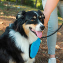 Luxury Pet Grooming Glove