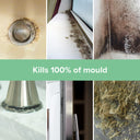Mould Master