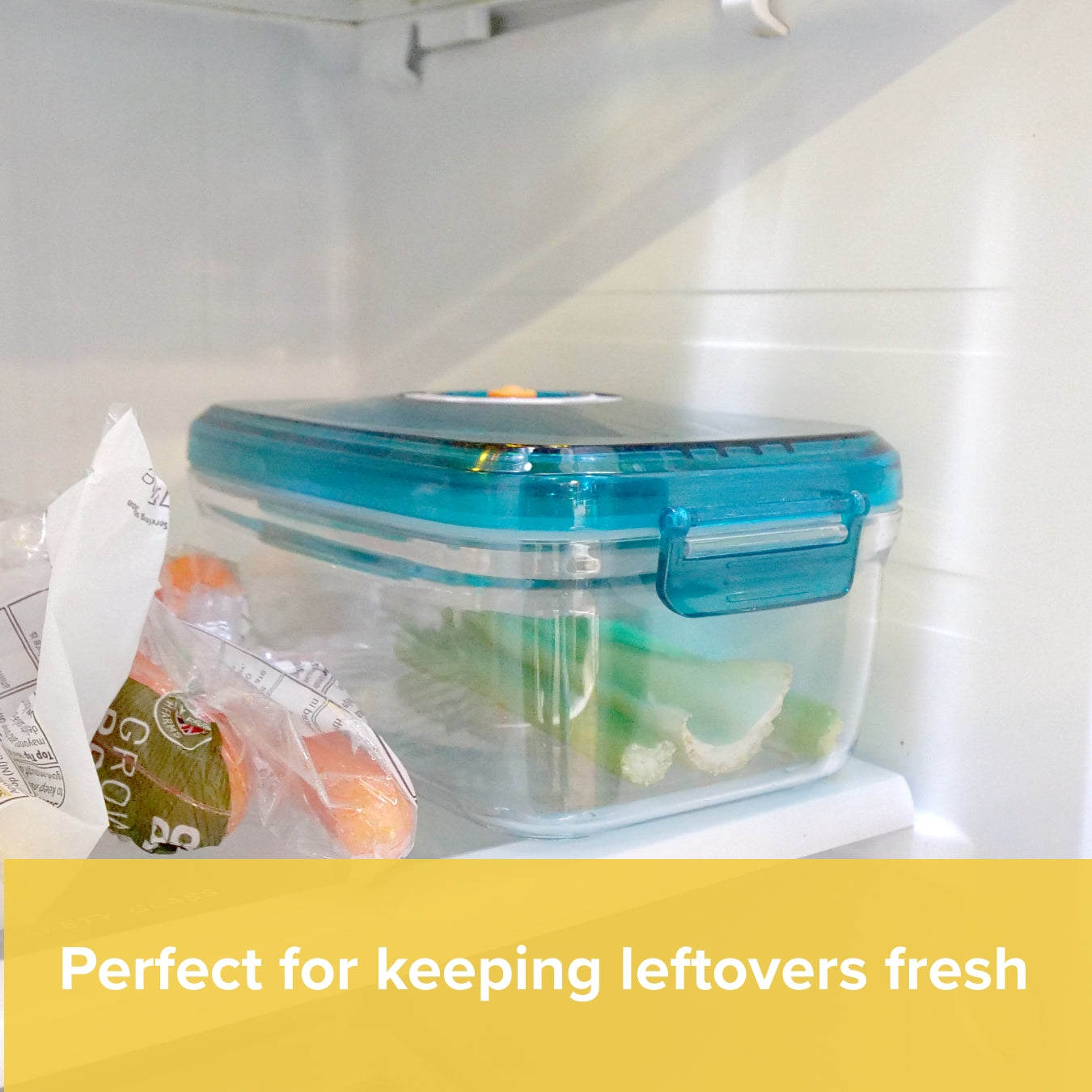 The Money Saving Nutri-Sealer 6 in 1 Food Vacuum Sealer Large Vacuum Container