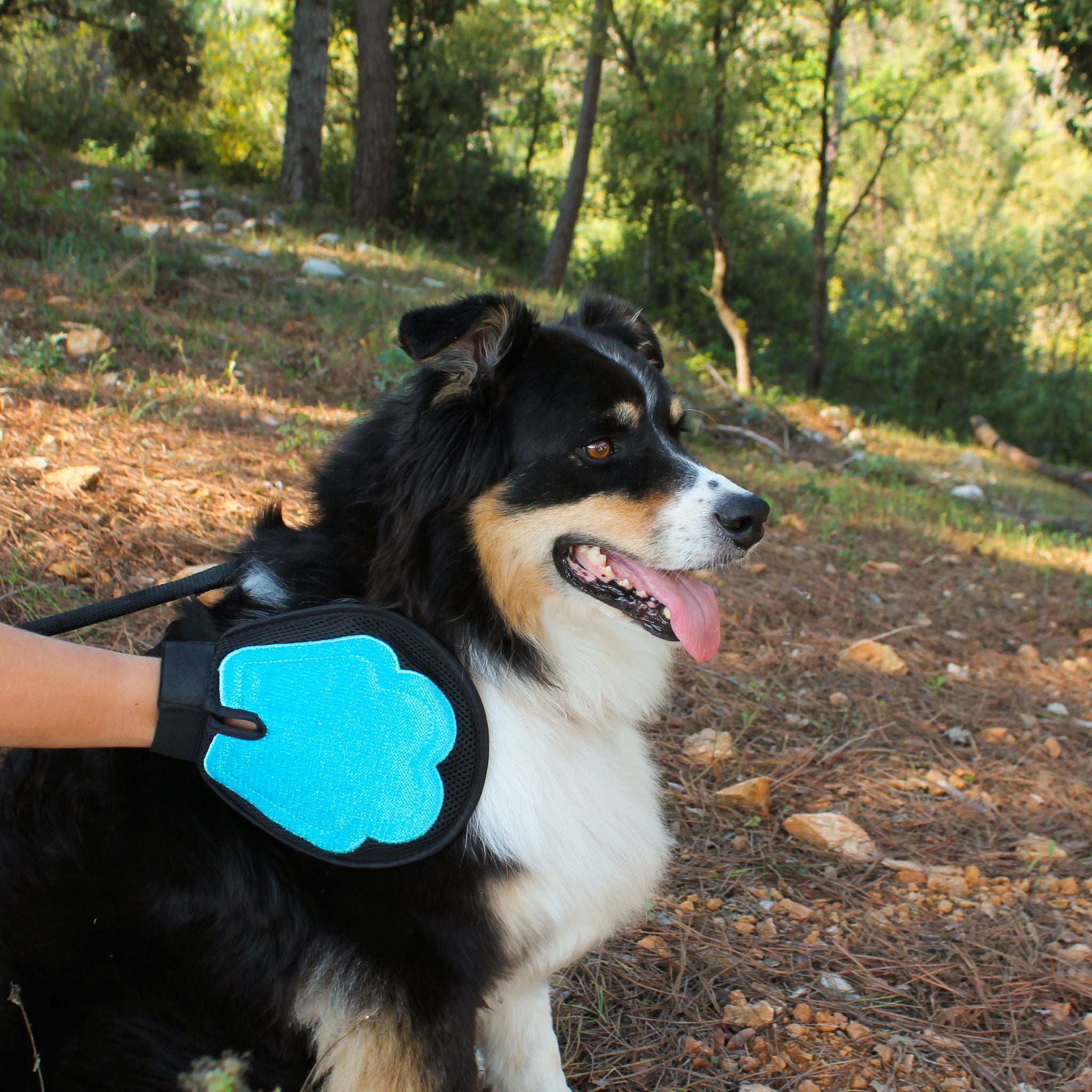 Luxury Pet Grooming Glove