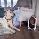 SmartAir Glow Heat Portable Electric Fan Heater