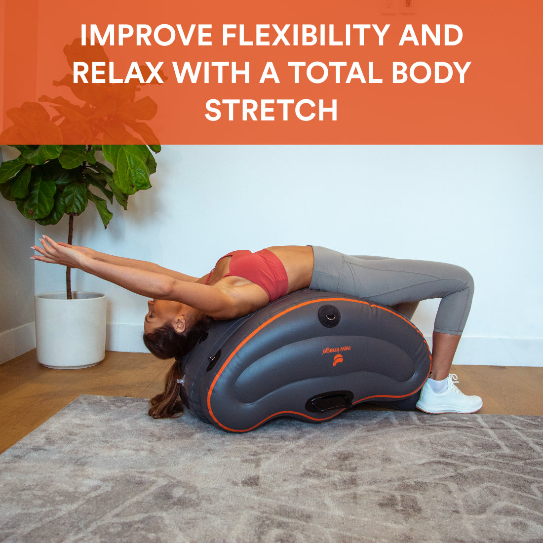 FITT Curve by New Image (Outlet)