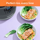 nutribullet EveryGrain Cooker