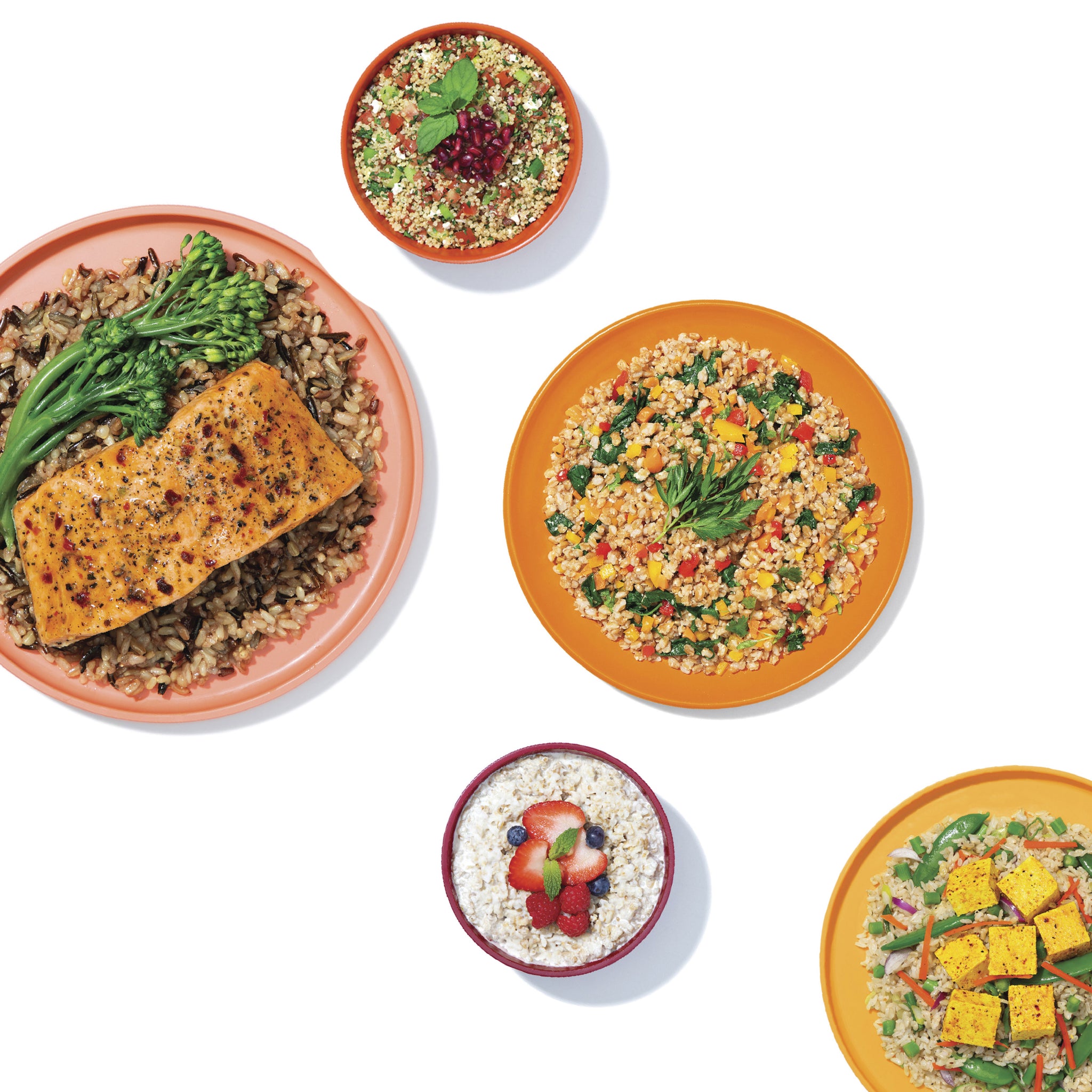 nutribullet EveryGrain Cooker