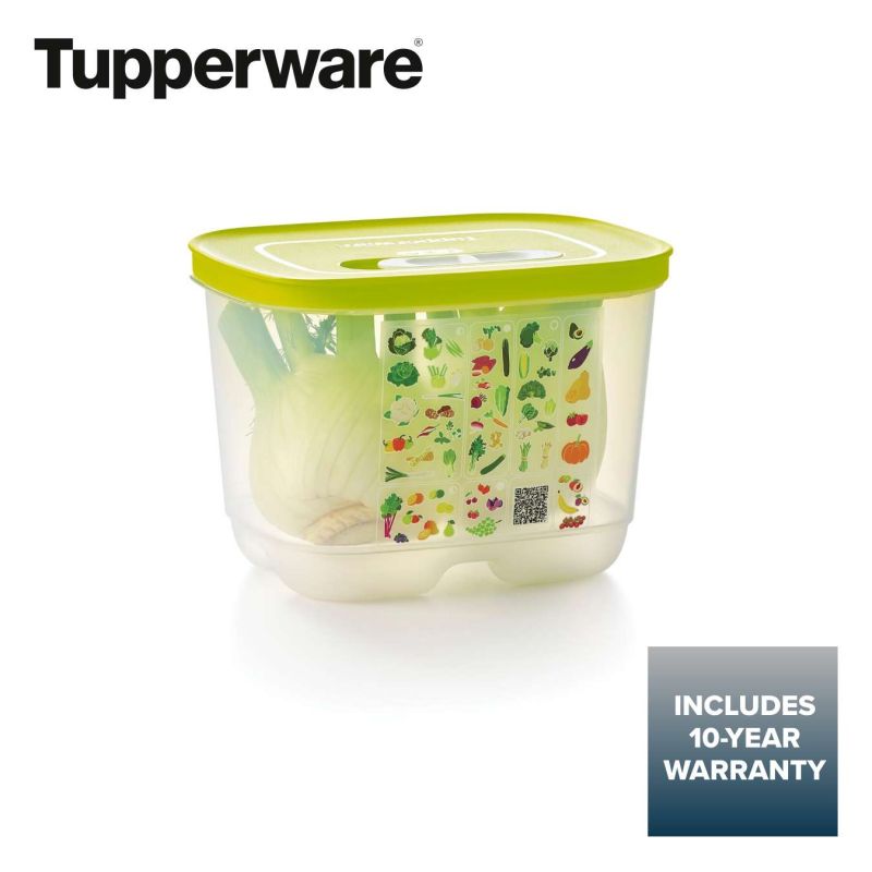FridgeSmart® Small Deep – Tupperware US